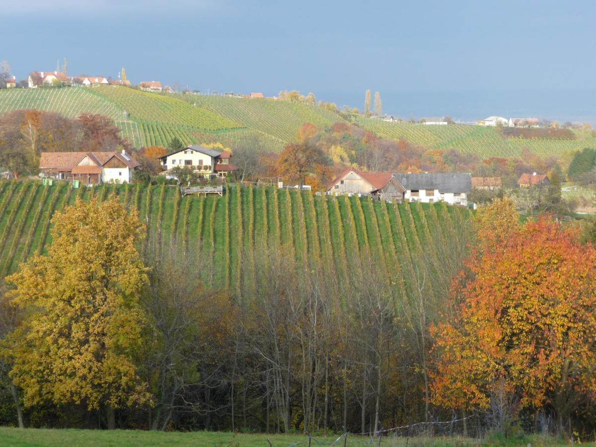 Auszeit Ferienhaus Fur 6 Personen ,Mit Grosser Terrasse Und Panoramablick, Turracher Hohe -A1 Haus 436 A Links- Exterior foto